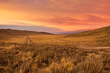 A dirt road leads the eye towards the horizon through bare desert hills. A snow-capped mountain range is visible in the distance. The scene and the clouds are lit by a red early sunrise, Potrerillos, Mendoza, Argentina