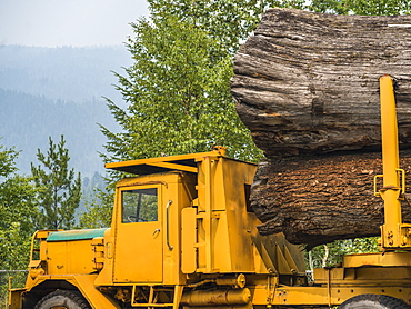 Large logs loaded on a yellow transport truck, Riondel, British Columbia, Canada