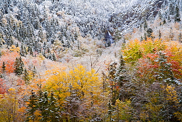 Waterfall And Autumn Colours In Snow On Sugarloaf Mountain, A Protected Crown Wilderness Area Along The Northeast Margaree River At Big Intervale, Cape Breton Island, Nova Scotia, Canada