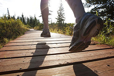 The Feet Of A Runner Over A Wooden Boardwalk Through A Forest, Homer, Alaska, United States Of America