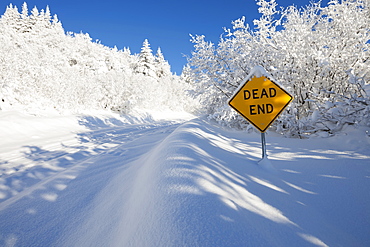 A Road And Trees Covered With Deep Snow And A Yellow Sign Saying Dead End, Alaska, United States Of America