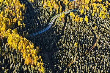 Aerial View Of The Chester Creek Bike Trail Winding Through Spruce And Birch Forests, South-Central Alaska, Anchorage, Alaska, United States Of America