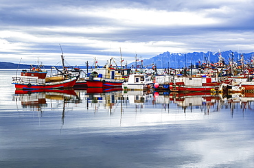 Fishing Boats In A Harbour, Chilean Patagonia, Puerto Natales, Ultima Esperanza, Chile