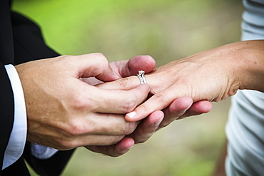 A Groom Puts A Ring Onto His Bride's Finger During A Marriage Ceremony, Ontario, Canada