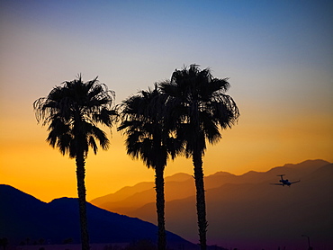 Silhouette Of Three Palm Trees And A Plane In Flight Against Layers Of Silhouetted Mountains At Sunset, Palm Springs, California, United States Of America