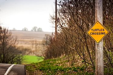 A Caution Sign On The Side Of The Road Saying Turtles Crossing, Herschel, Saskatchewan, Canada