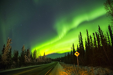 The Aurora Glows Over A Moose Crossing Sign Along Sheep Creek Road, Fairbanks, Alaska, United States Of America