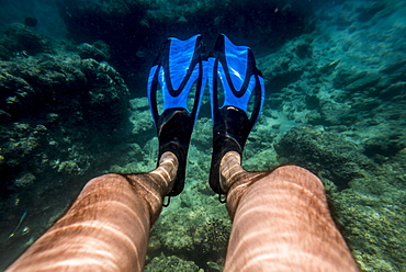 Snorkeling In Benguerra Island, The Second Largest Island In The Bazaruto Archipelago, Mozambique