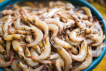 Fresh Prawns For Sale At Maputo's Central Market, Maputo, Mozambique