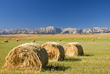 Hay Bales, Alberta, Canada