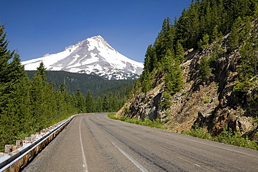 Highway Through Mount Hood National Forest, Oregon, United States Of America