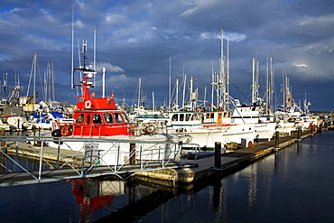 Port Townsend, Washington State, Usa; Marina With Boats