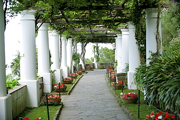 Capri, Italy; White, Ivy-Lined Pillars