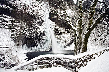 Horsetail Falls, Columbia River Gorge National Scenic Area, Oregon, Usa