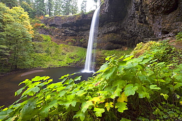 South Silver Falls, Silver Falls State Park, Oregon, Usa