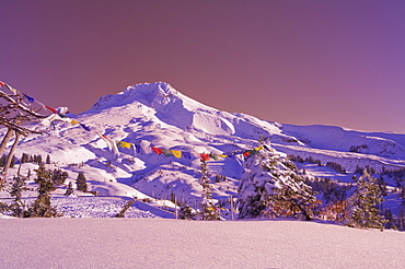 Oregon, United States Of America; Fresh Snow On Mount Hood In Mount Hood National Forest