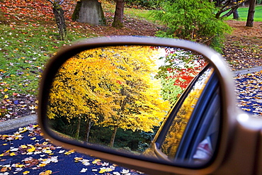 Oregon, United States Of America; Autumn Colors Along A Country Road