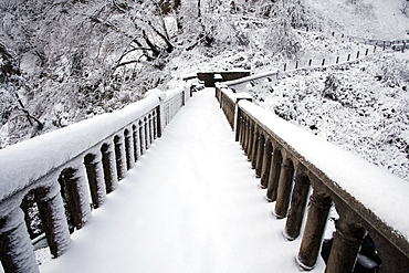 Columbia River Gorge National Scenic Area, Oregon, United States Of America; Snow Covering A Trail Through The Forest