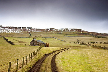 Scottish Borders, Scotland; Tire Tracks Forming A Road Along A Fence With A House Among The Fields