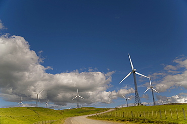 Wind Turbines In A Field With A Road Going Through; Palmerston North, New Zealand