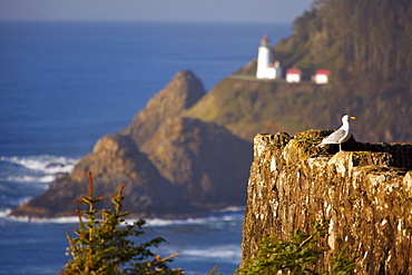 Oregon, United States Of America; Heceta Head Lighthouse Along The Coast