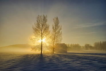 Calgary, Alberta, Canada; A Small Pioneer School In A Misty Winter Sunrise