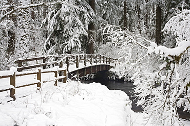 Oregon, United States Of America; Snow Covered Bridge In Silver Falls State Park