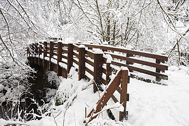 Oregon, United States Of America; Snow Covered Bridge In Silver Falls State Park