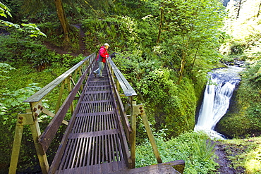 Oregon, United States Of America; A Man Standing On A Bridge Looking At Middle Oneonta Falls In Columbia River Gorge National Scenic Area