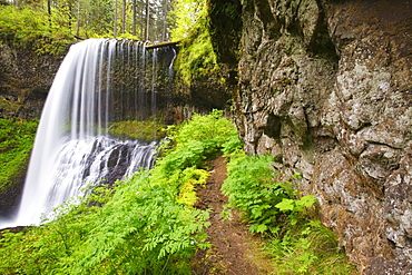 Oregon, United States Of America; North Middle Falls In Silver Falls State Park