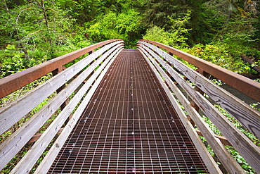 Oregon, United States Of America; A Walking Bridge In Silver Falls State Park