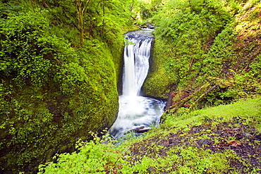 Oregon, United States Of America; Middle Oneonta Falls In Columbia River Gorge National Scenic Area