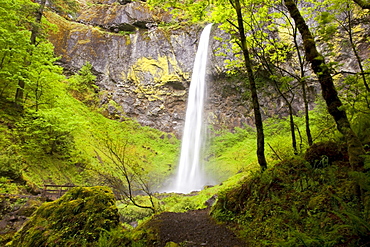 Elowah Falls In Columbia River Gorge National Scenic Area; Oregon, USA