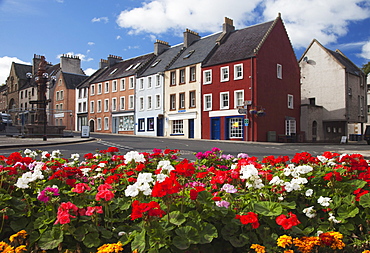 Flowers Along A Street In A Residential Area; Jedburgh, Scottish Borders, Scotland