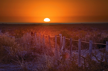 Sunrise Over The Pampa Of Argentina; San Rafael, Mendoza, Argentina