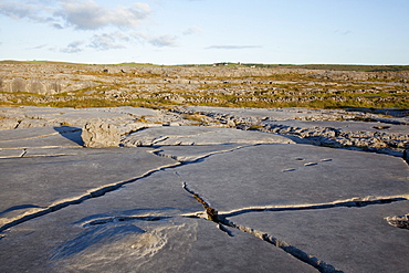 Karst Landscape; Fanore, County Clare, Ireland