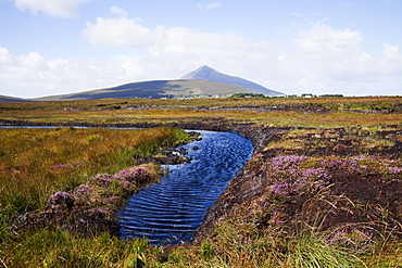 Water Source In Irish Bog; Achill Island, County Mayo, Ireland