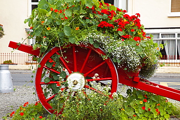 Outdoor Floral Arrangement; Inishshannon, County Cork, Ireland