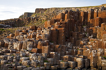 Natural Basalt Column Rock Formations; Giant'S Causeway, County Antrim, Northern Ireland