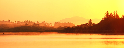 Oysterbed, County Kerry, Ireland, Near Sneem