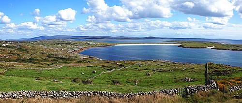 Rural Stone Fence By The Coast Of Dogs Bay; Roundstone, County Galway, Ireland