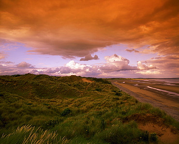 Murlough National Nature Reserve, Dundrum Bay, County Down, Ireland