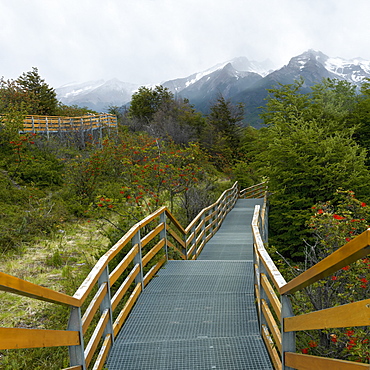 Los Glaciares National Park, Santa Cruz Province, Argentina