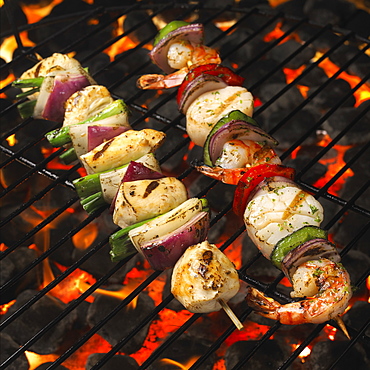 Skewers With Chicken And Vegetables On The Grill