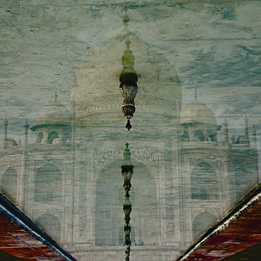 Upside-Down Reflection Of Taj Mahal In A Pool Of Water, Agra, Uttar Pradesh, India