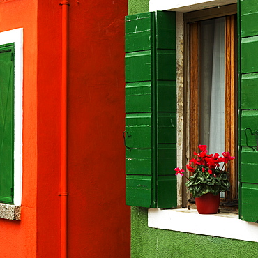 Walls Of A House Painted Red And Green With A Potted Flower On The Windowsill, Venice, Italy