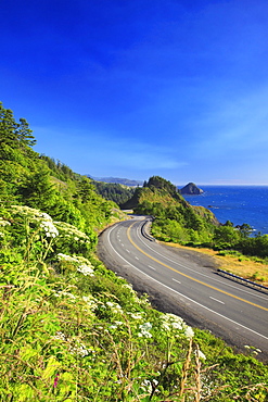 Wildflowers And Afternoon Light Add Beauty To The Highway And Rock Formations At Humbug Mountain State Park; Oregon United States Of America