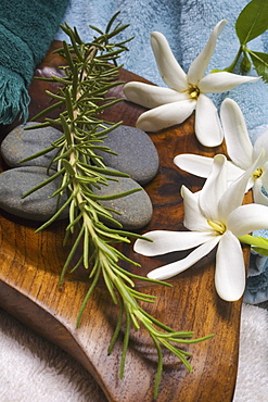 Spa elements, flowers, grey stones and a sprig of rosemary ona wooden platter with towels surrounding.