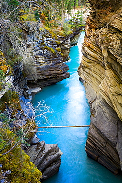 Mountain River Canyon Outlet, Jasper National Park, Alberta, Canada