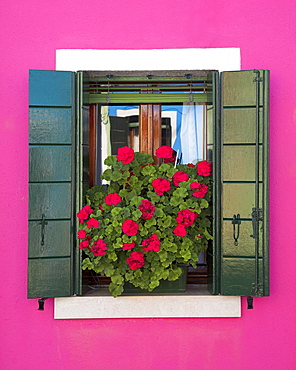 Pink Wall And Green Shutters, Burano, Italy